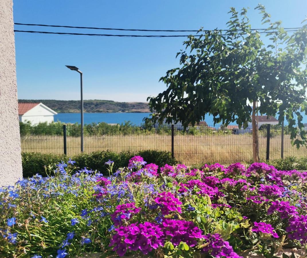 Apartmani Darko Rtina Exteriör bild
